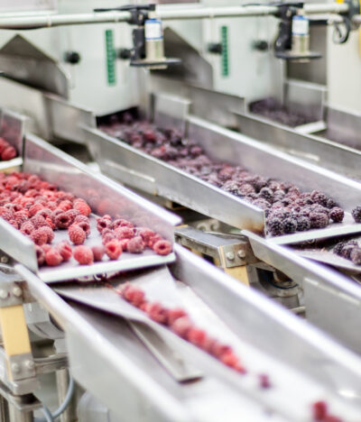 The Importance of Frozen Food Distribution Worldwide